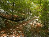 Stara Fužina - Planina pod Mišelj vrhom